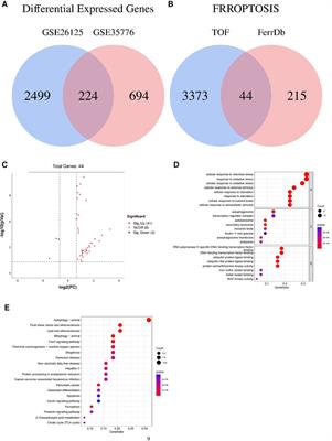 Novel hub genes and regulatory network related to ferroptosis in tetralogy of Fallot